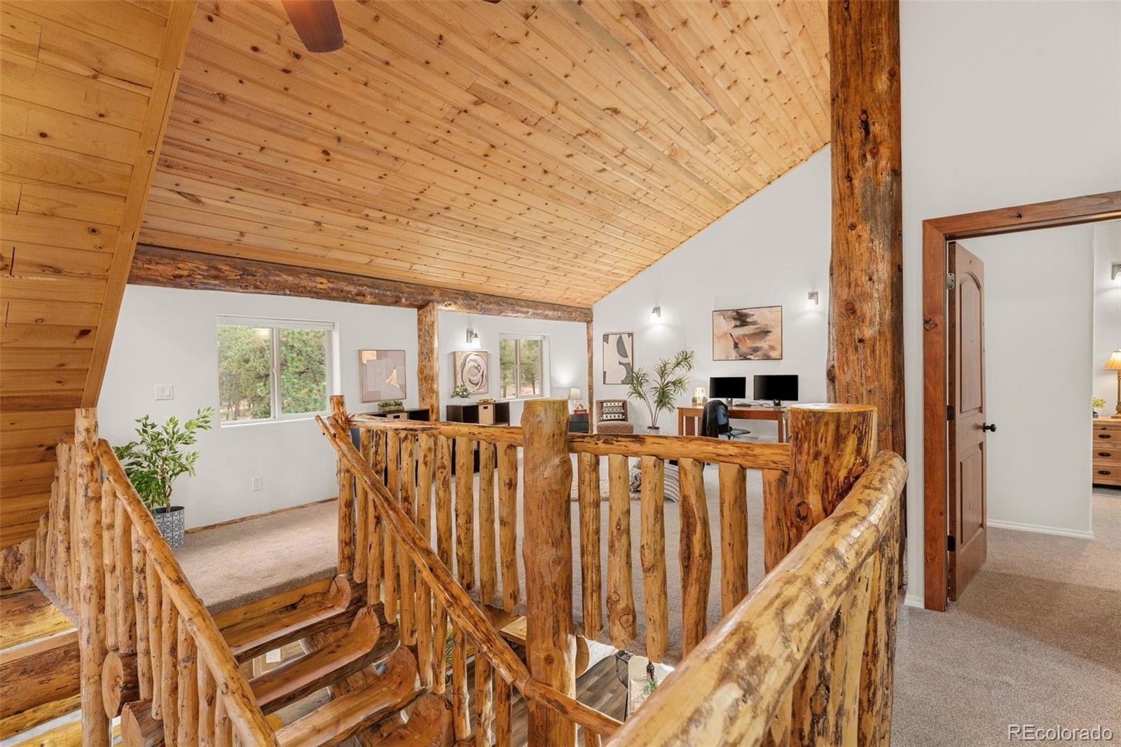 MLS Image #27 for 102  carmargo road,pine, Colorado