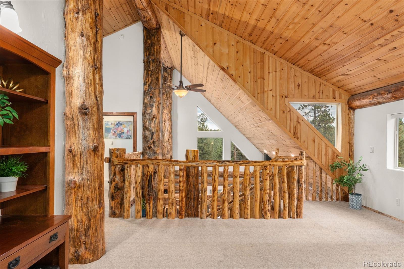 MLS Image #28 for 102  carmargo road,pine, Colorado