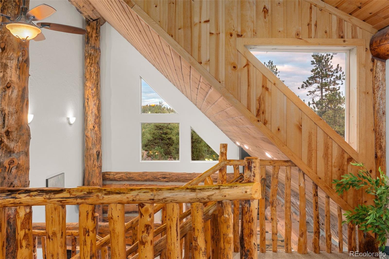 MLS Image #30 for 102  carmargo road,pine, Colorado