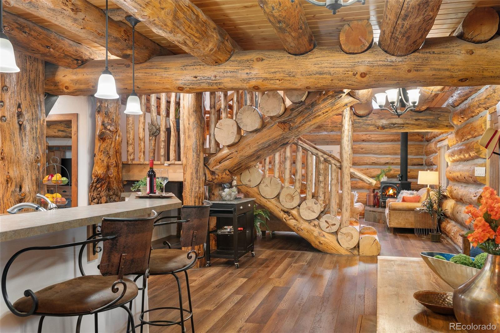 MLS Image #6 for 102  carmargo road,pine, Colorado
