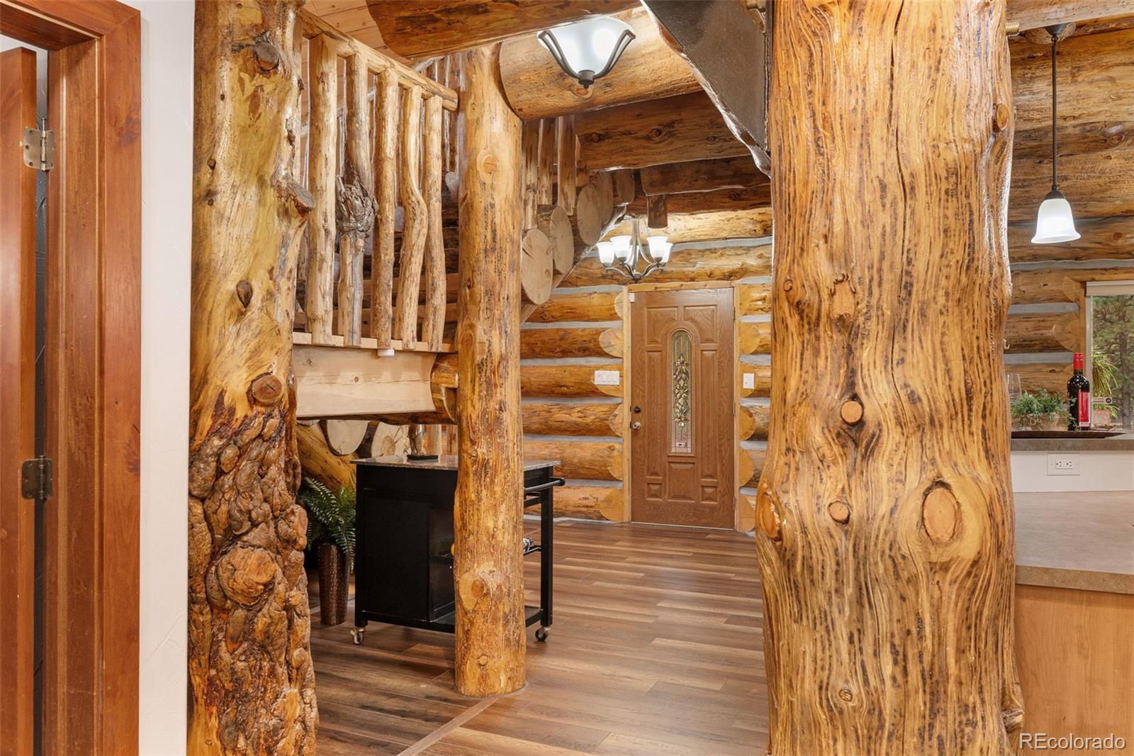 MLS Image #8 for 102  carmargo road,pine, Colorado