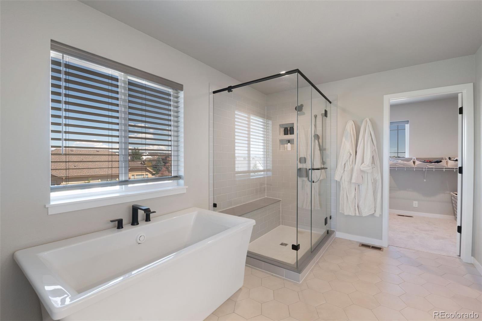 MLS Image #20 for 8636  country creek trail,colorado springs, Colorado