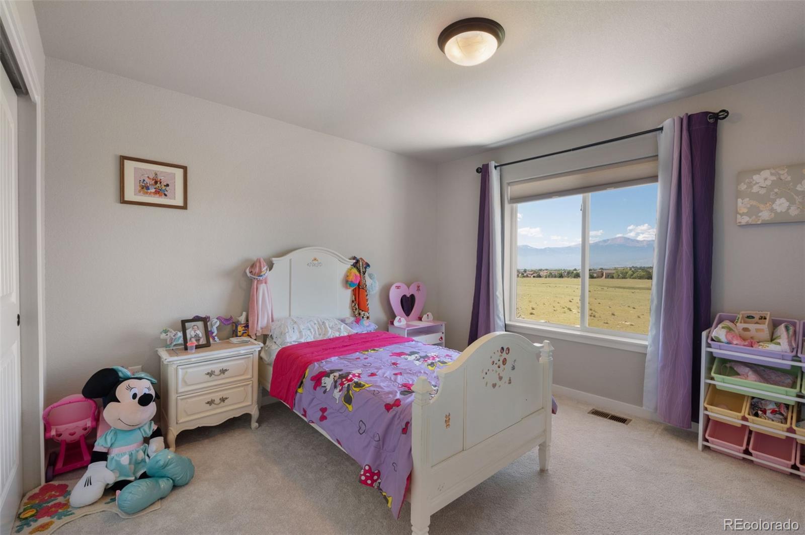 MLS Image #22 for 8636  country creek trail,colorado springs, Colorado