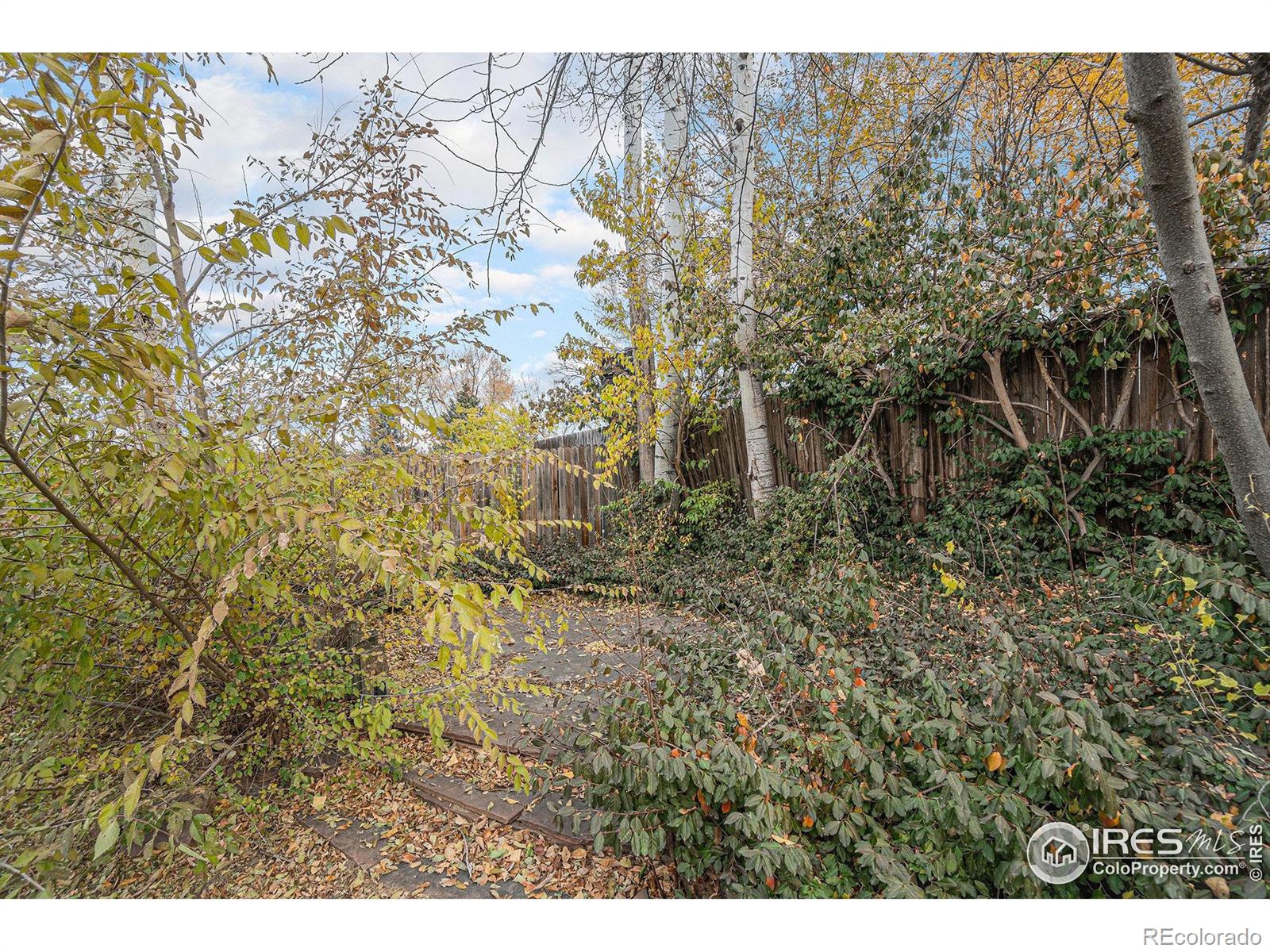MLS Image #38 for 1708  37th avenue,greeley, Colorado