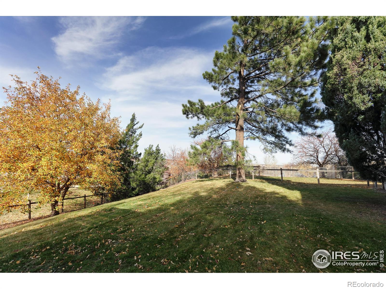 MLS Image #37 for 4651 w 109th place,westminster, Colorado