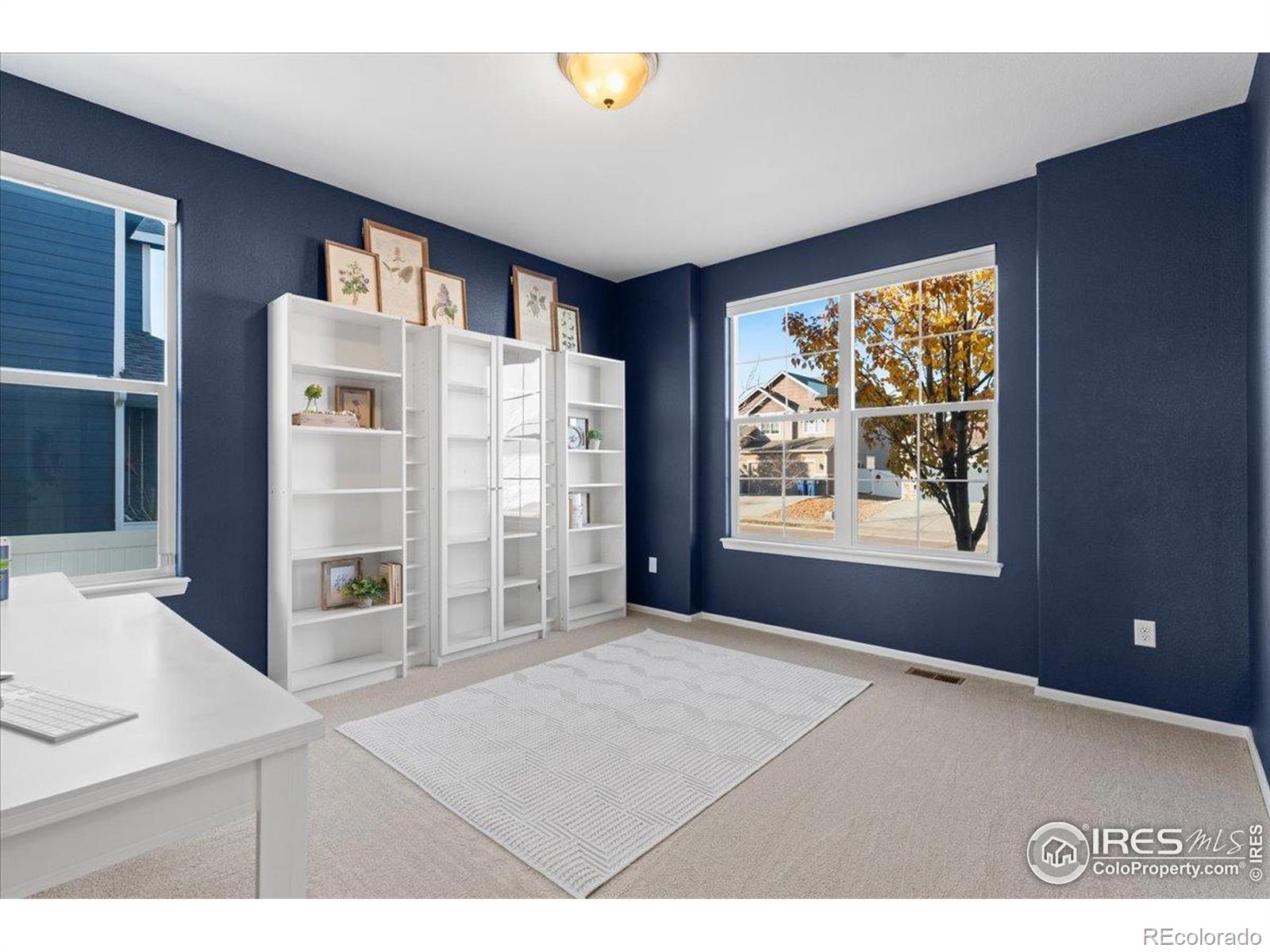 MLS Image #16 for 1525  skimmer street,berthoud, Colorado