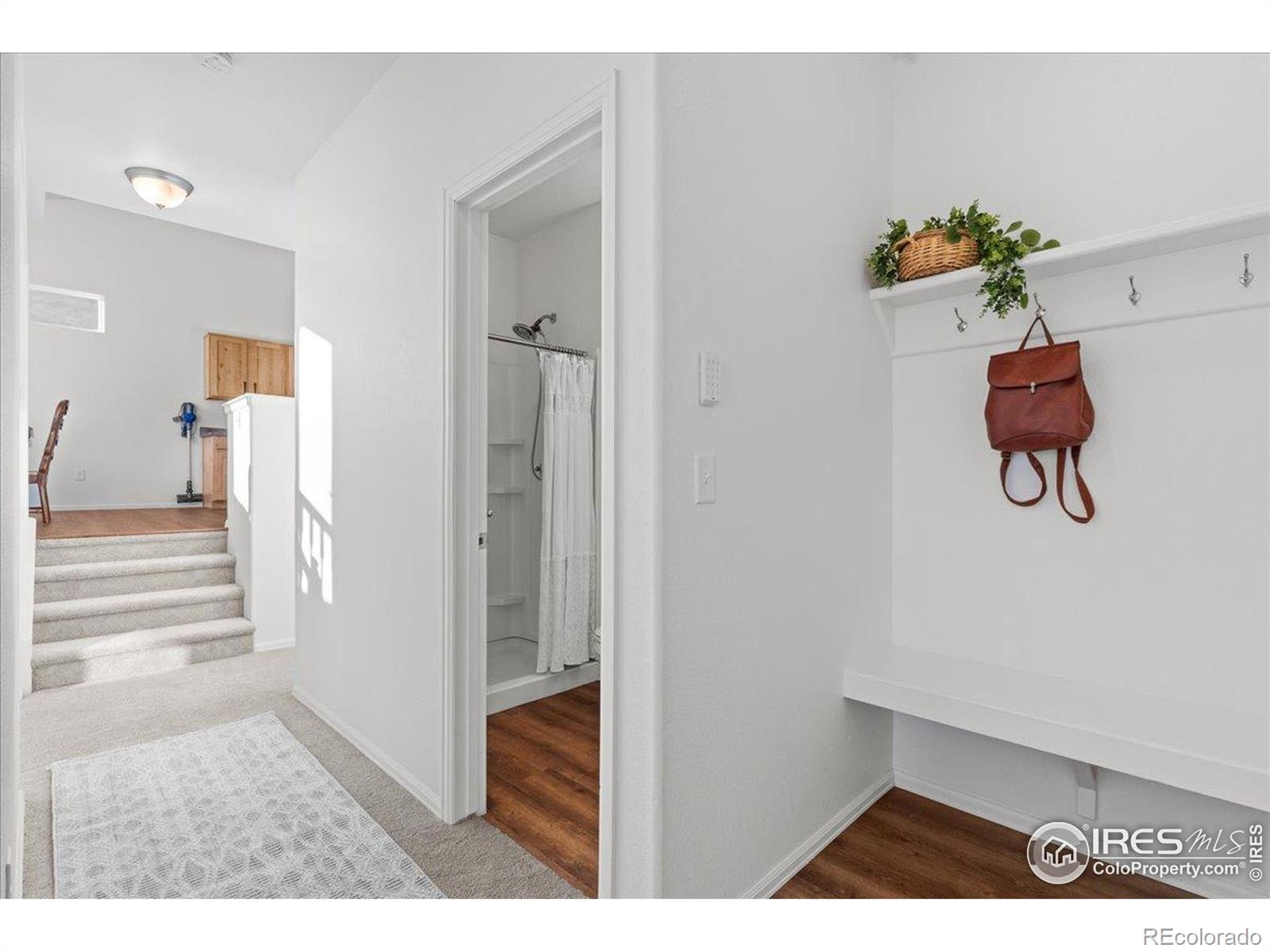 MLS Image #20 for 1525  skimmer street,berthoud, Colorado