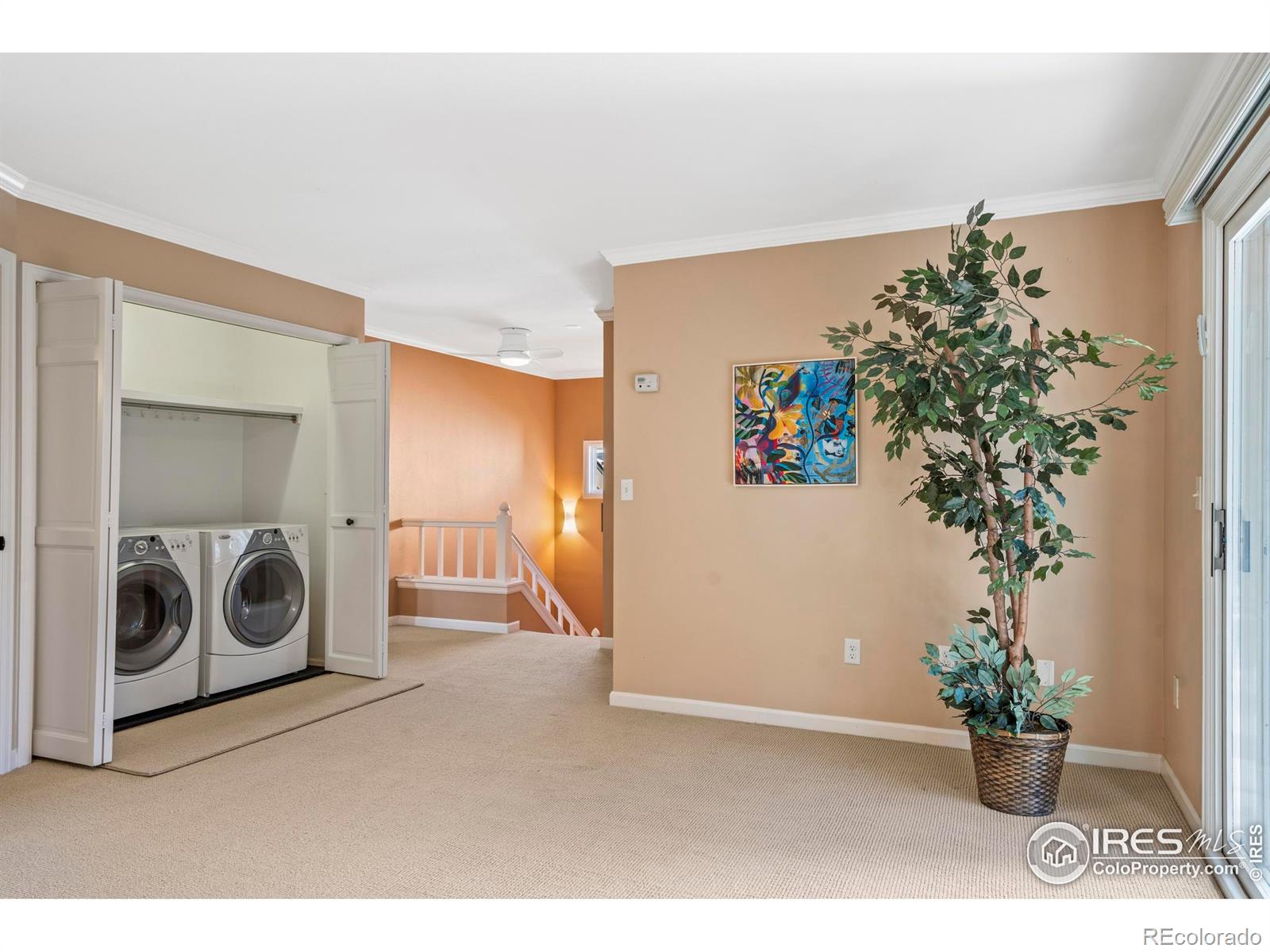 MLS Image #19 for 636  cheyenne drive,fort collins, Colorado