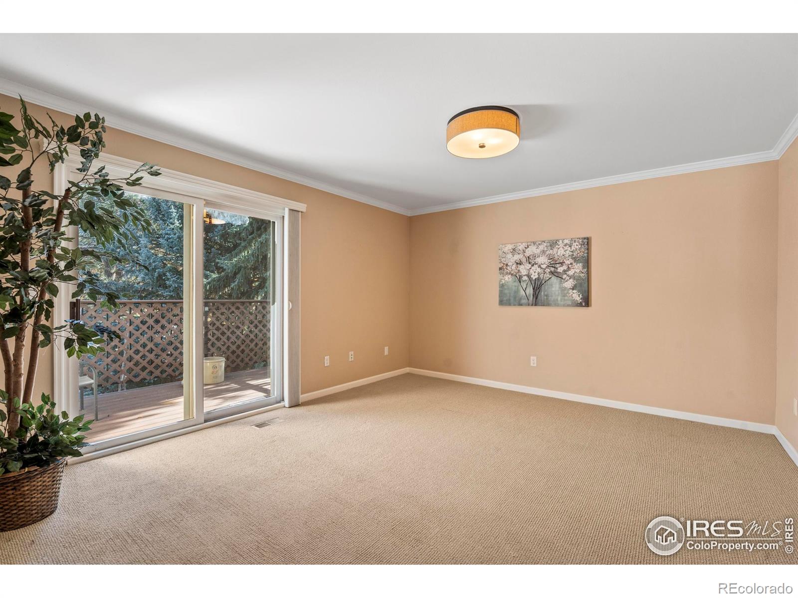 MLS Image #20 for 636  cheyenne drive,fort collins, Colorado
