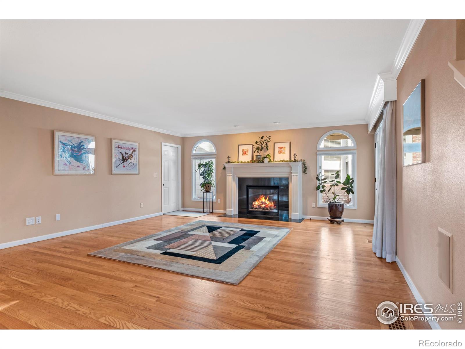 MLS Image #6 for 636  cheyenne drive,fort collins, Colorado