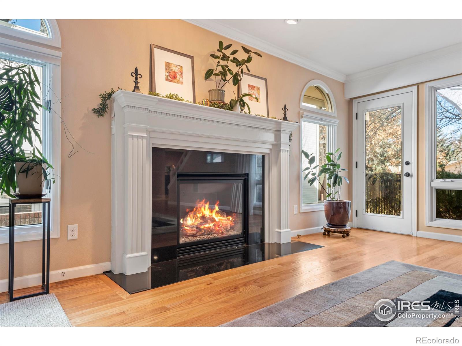 MLS Image #9 for 636  cheyenne drive,fort collins, Colorado