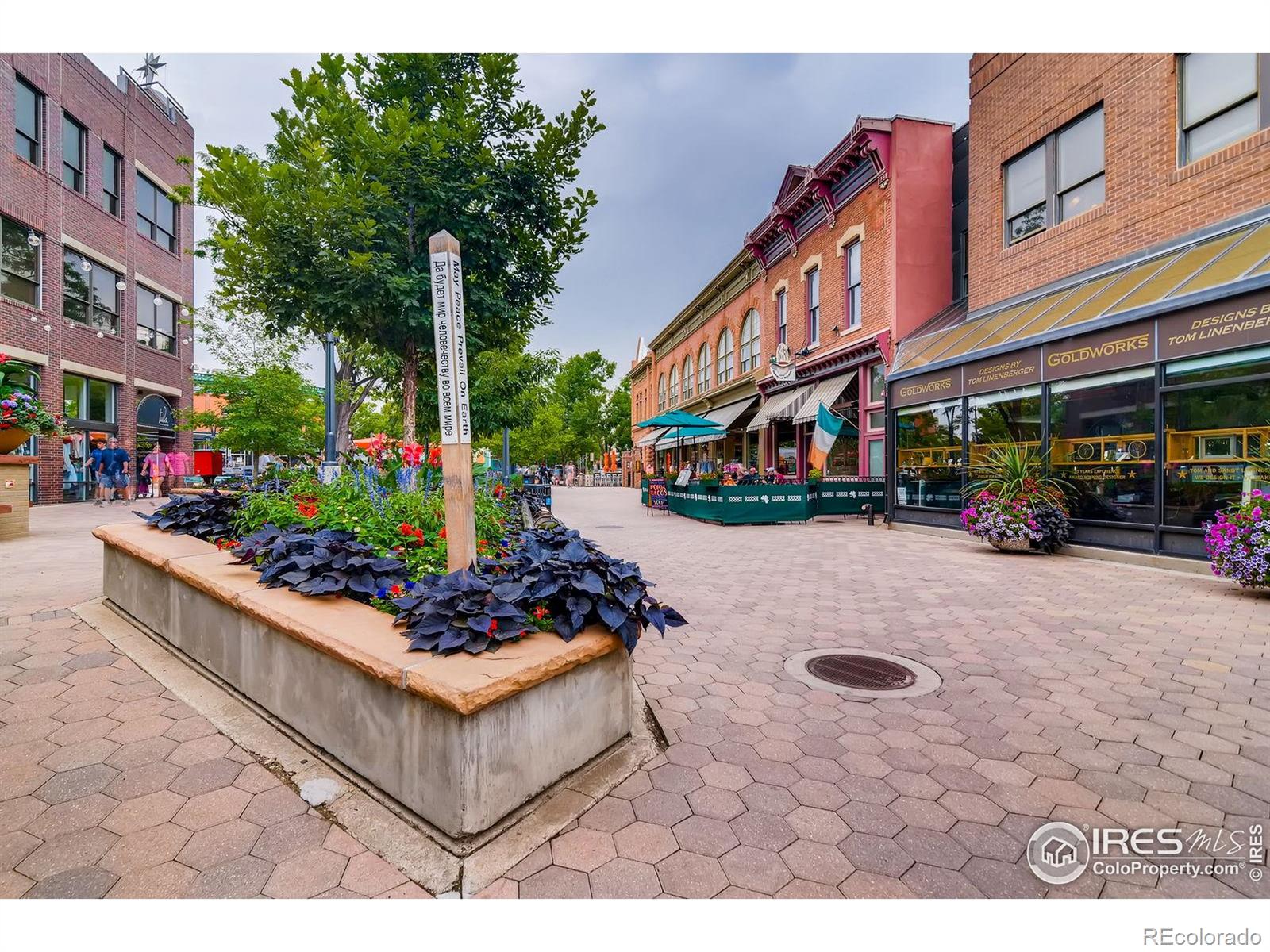 MLS Image #39 for 1729  elim court,fort collins, Colorado