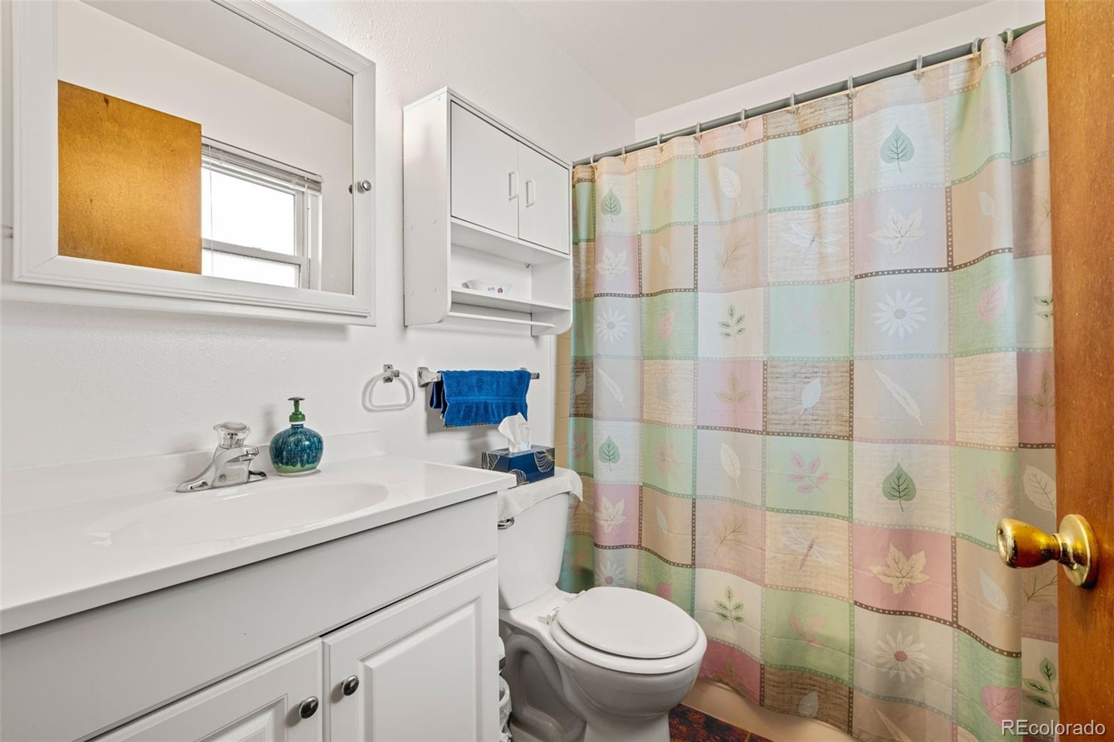 MLS Image #10 for 1125  memphis street,aurora, Colorado