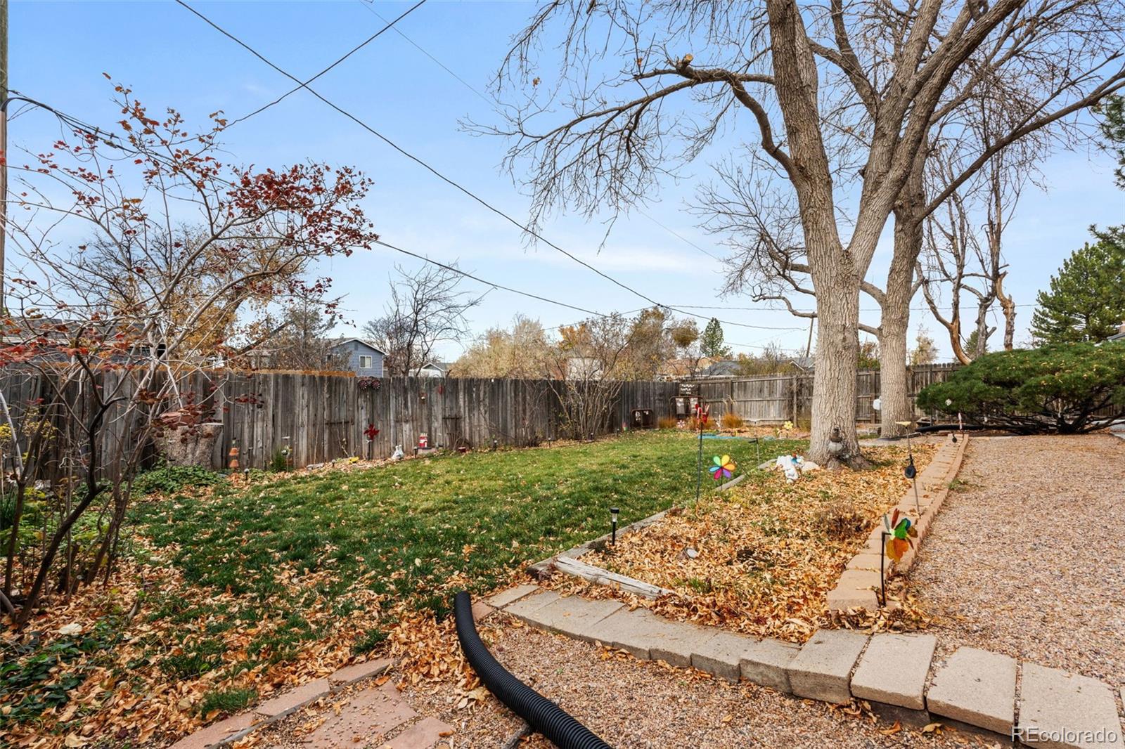 MLS Image #19 for 1125  memphis street,aurora, Colorado