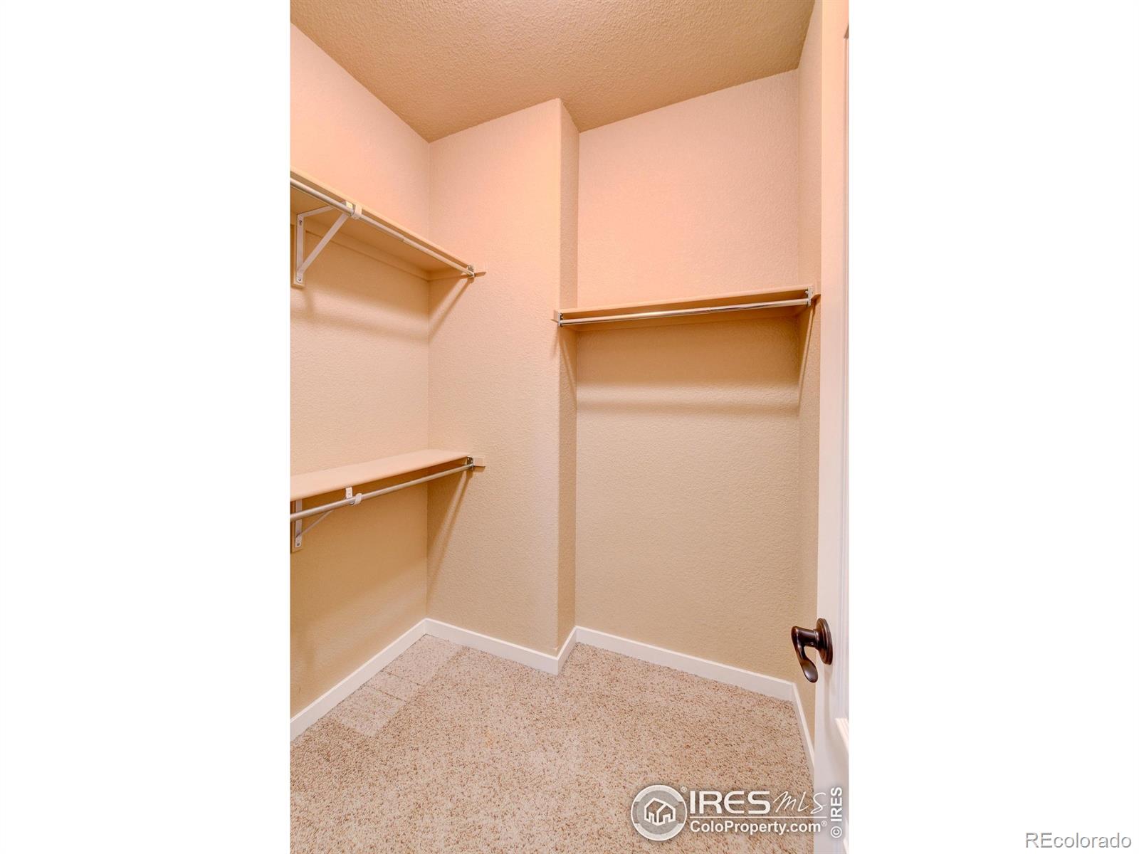 MLS Image #19 for 235  carina circle,loveland, Colorado