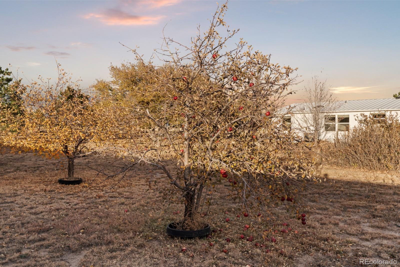 MLS Image #18 for 21105  mcdaniels road,calhan, Colorado
