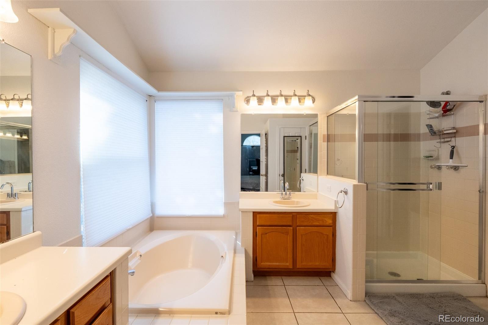MLS Image #17 for 3641  rosewalk circle,highlands ranch, Colorado