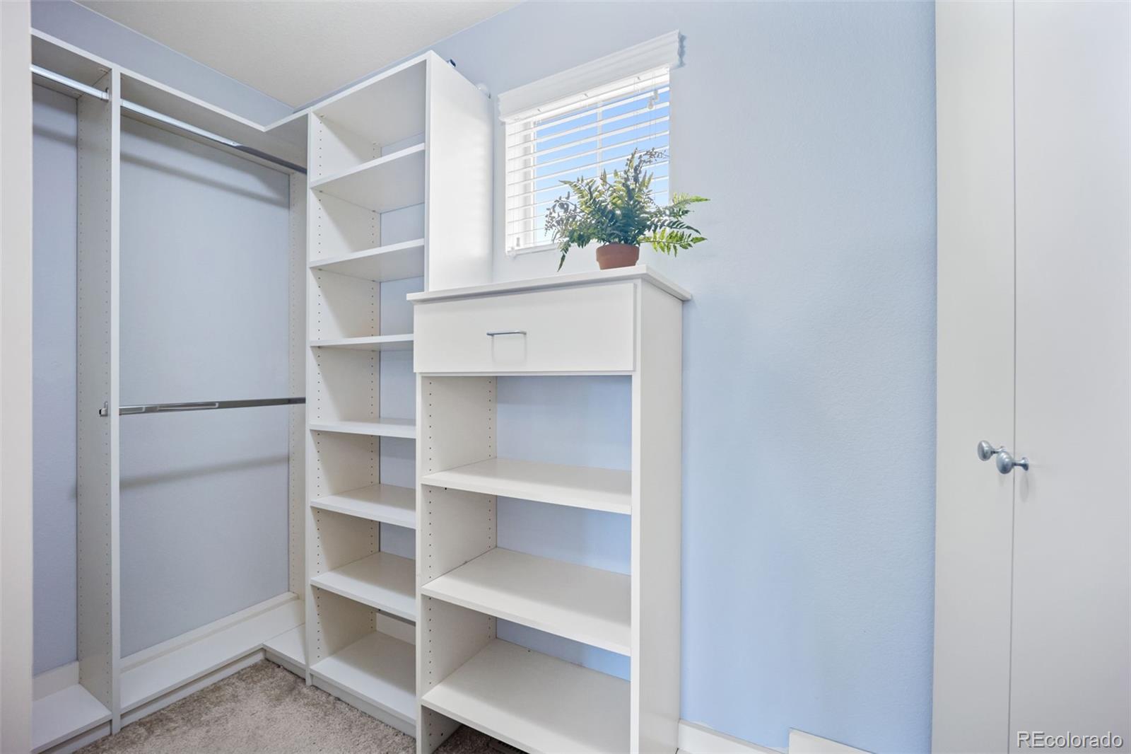 MLS Image #16 for 10934  touchstone loop,parker, Colorado