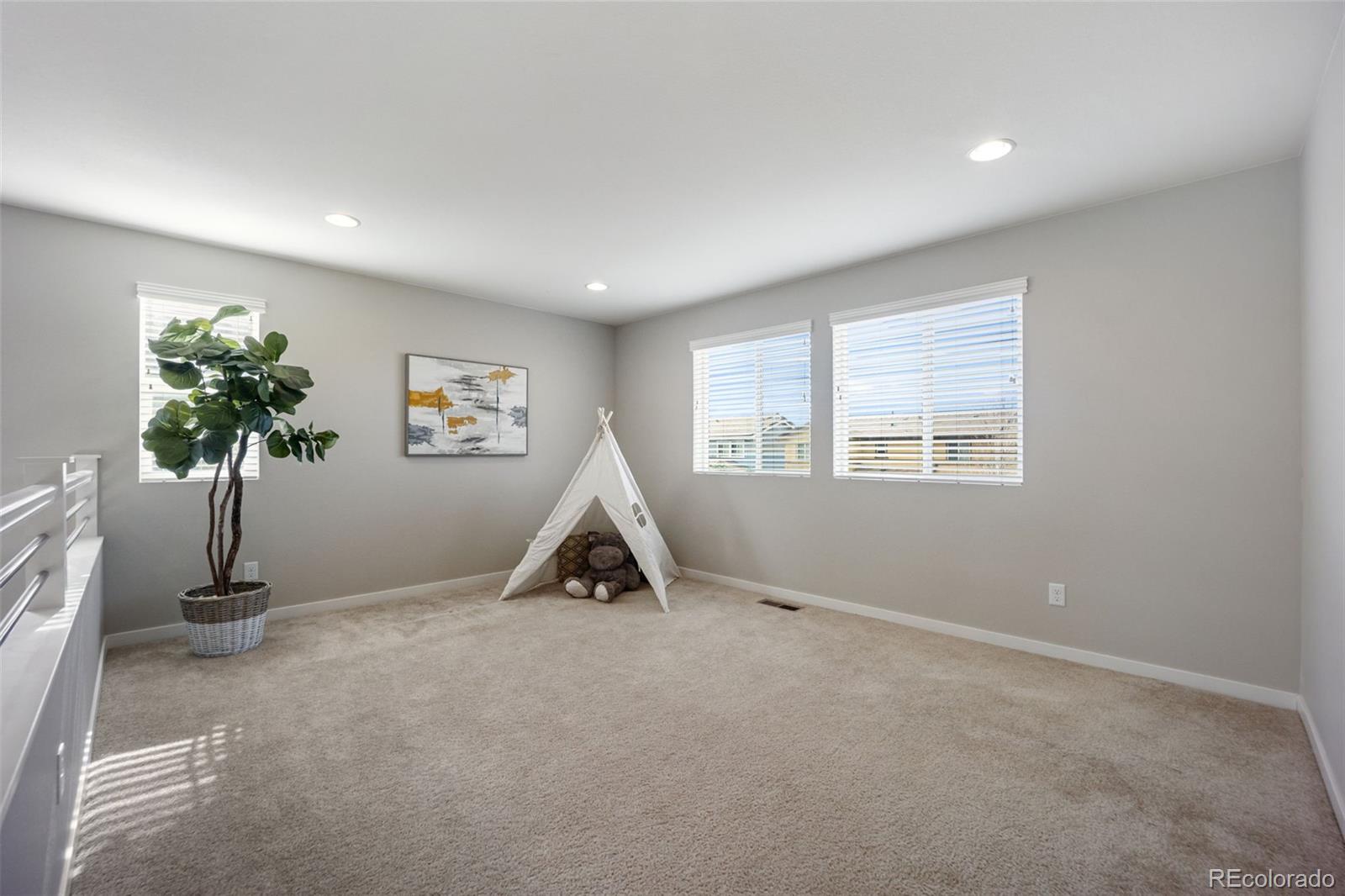 MLS Image #28 for 10934  touchstone loop,parker, Colorado