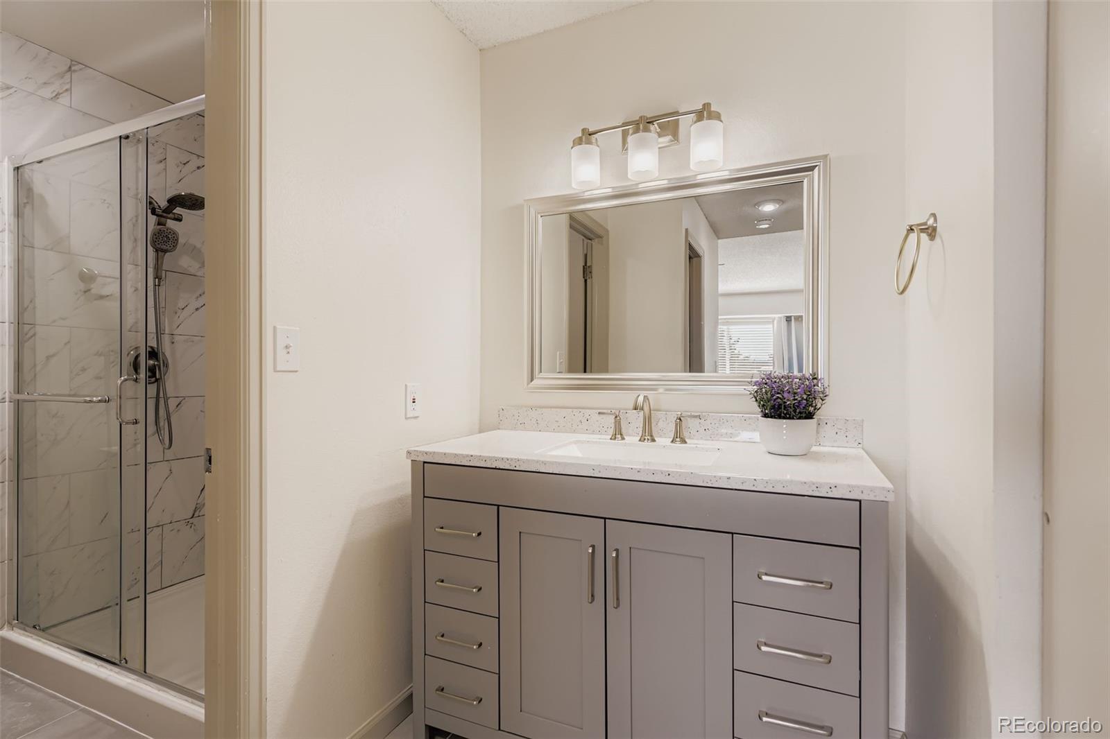 MLS Image #16 for 331  mountain chickadee road,highlands ranch, Colorado