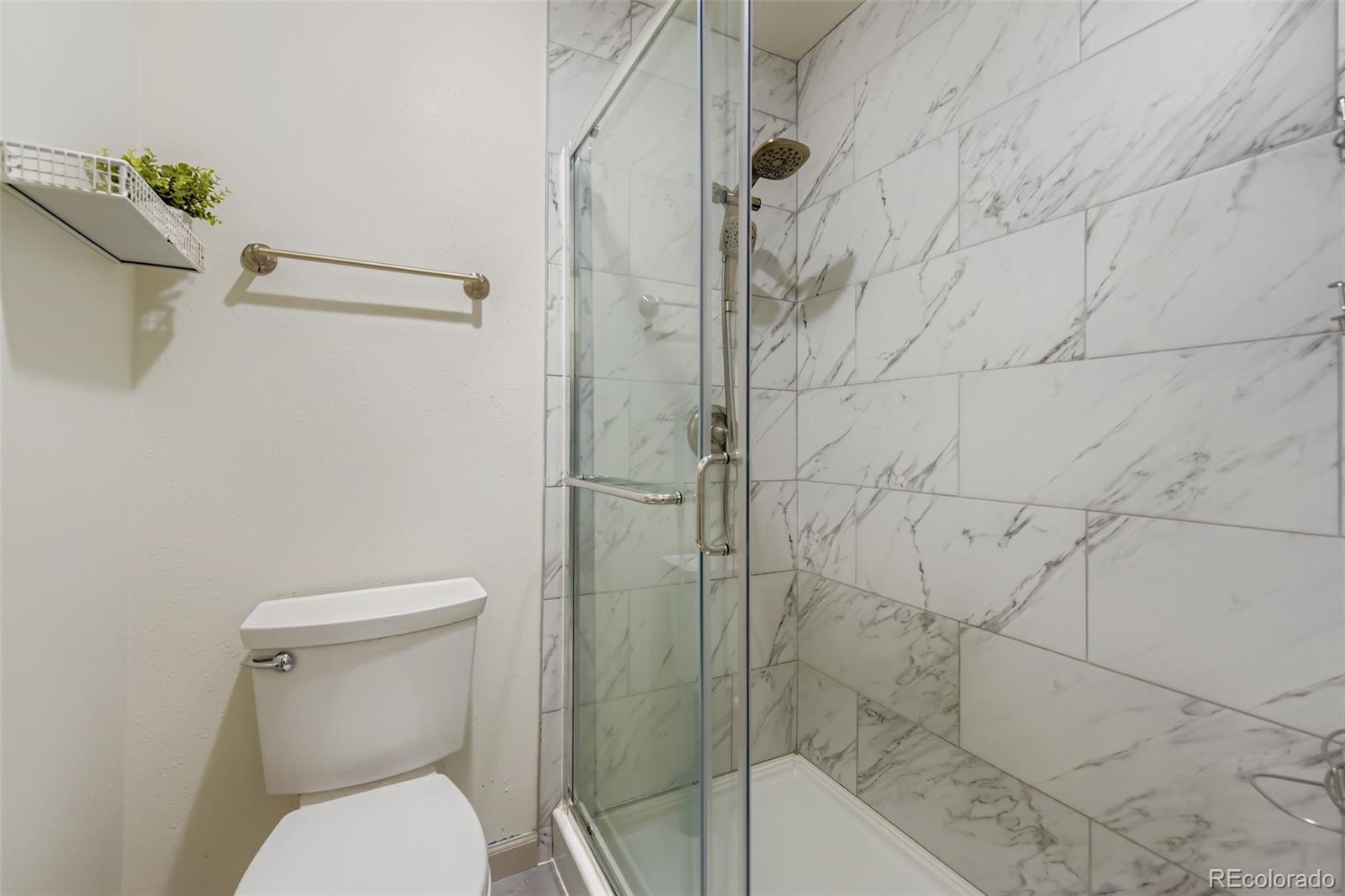 MLS Image #19 for 331  mountain chickadee road,highlands ranch, Colorado