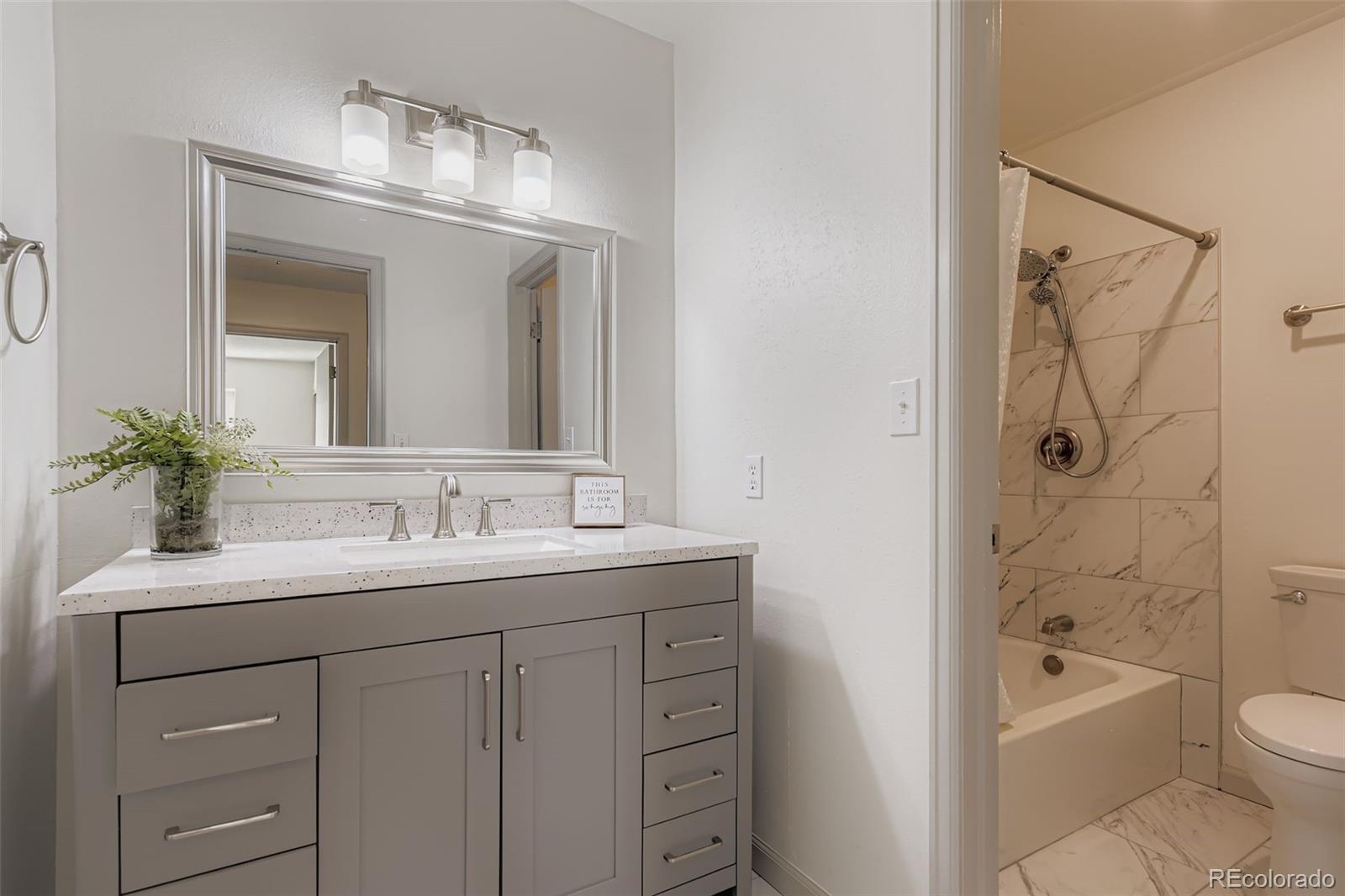 MLS Image #22 for 331  mountain chickadee road,highlands ranch, Colorado