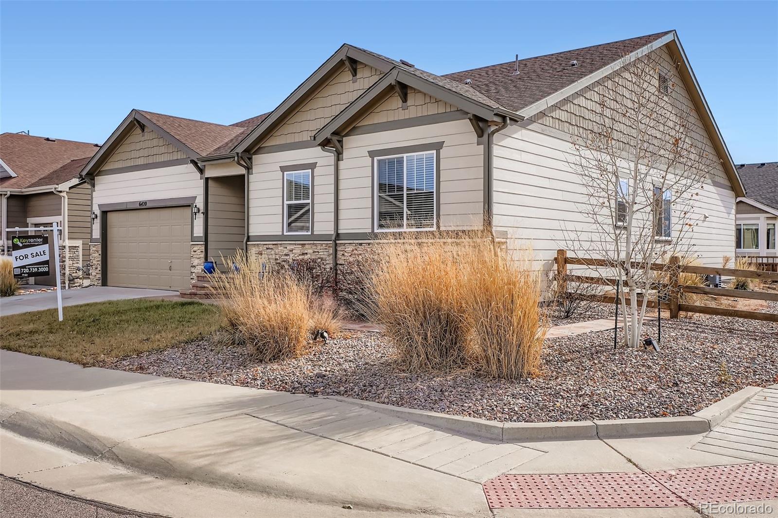 MLS Image #2 for 6420  agave avenue,castle rock, Colorado