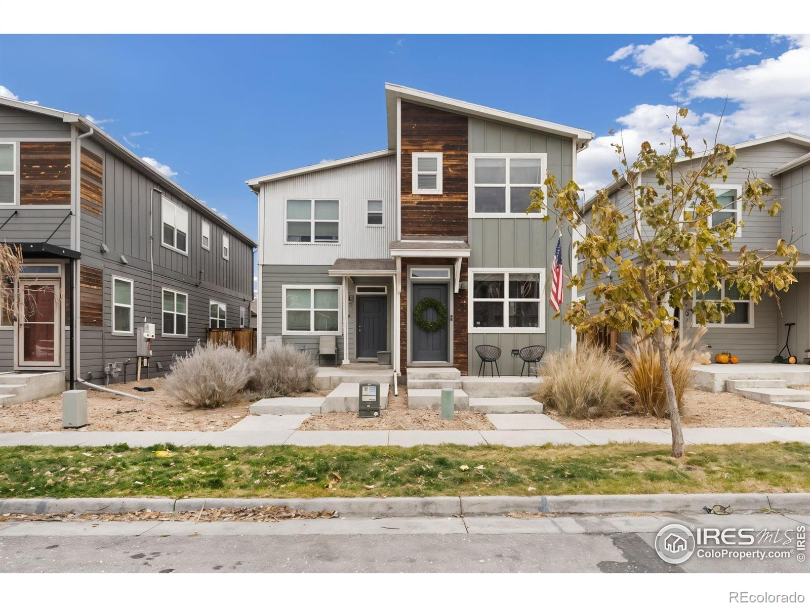 MLS Image #0 for 714  grand market avenue,berthoud, Colorado