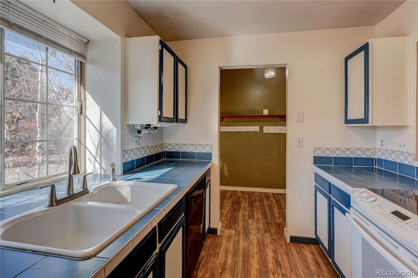 MLS Image #5 for 5656 s odessa street,centennial, Colorado