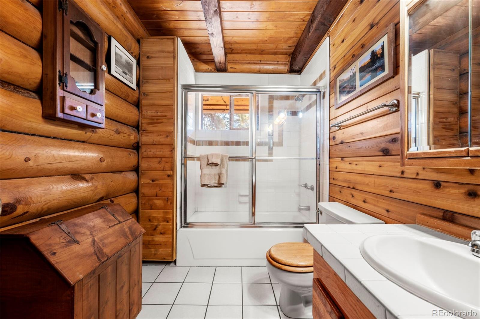 MLS Image #14 for 70  cheesman lake circle,divide, Colorado
