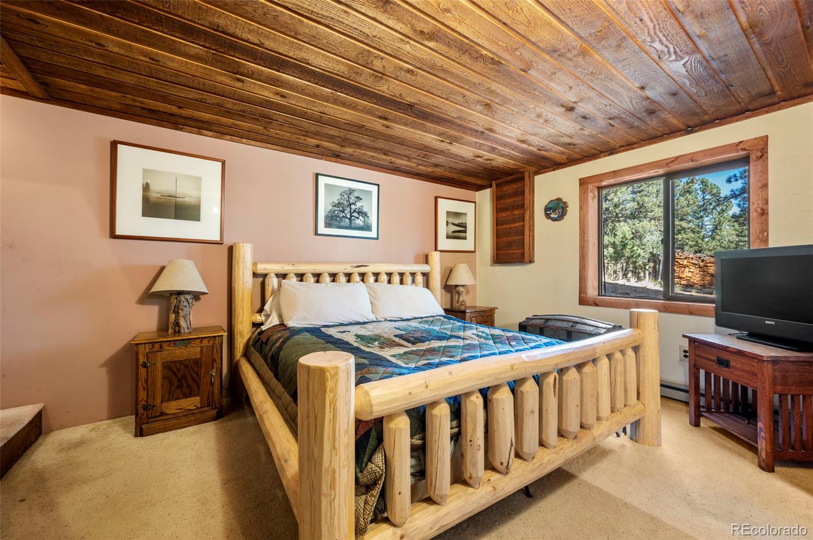 MLS Image #15 for 70  cheesman lake circle,divide, Colorado