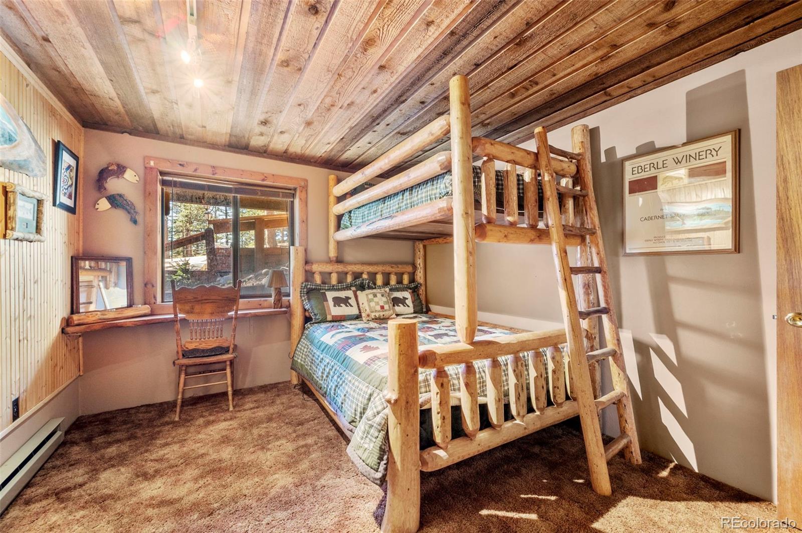 MLS Image #19 for 70  cheesman lake circle,divide, Colorado
