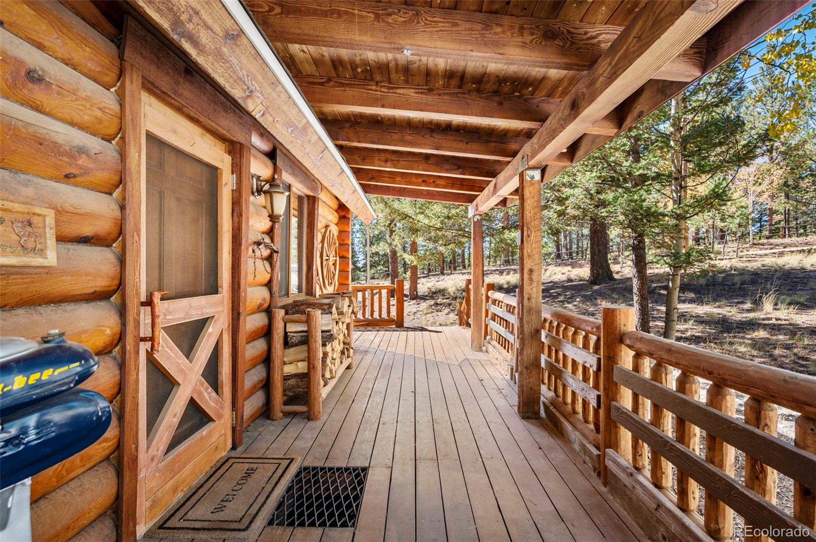 MLS Image #2 for 70  cheesman lake circle,divide, Colorado