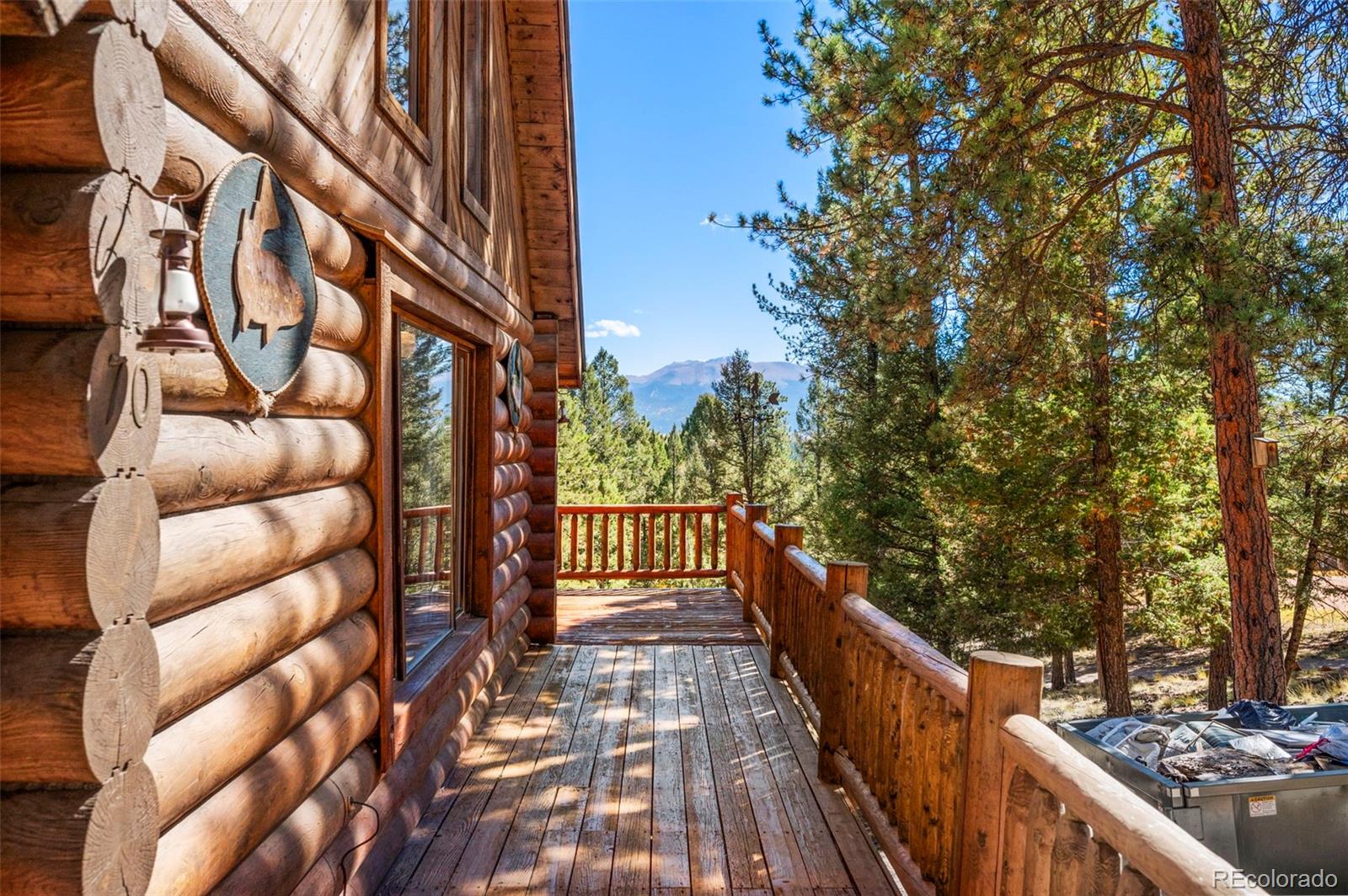 MLS Image #21 for 70  cheesman lake circle,divide, Colorado