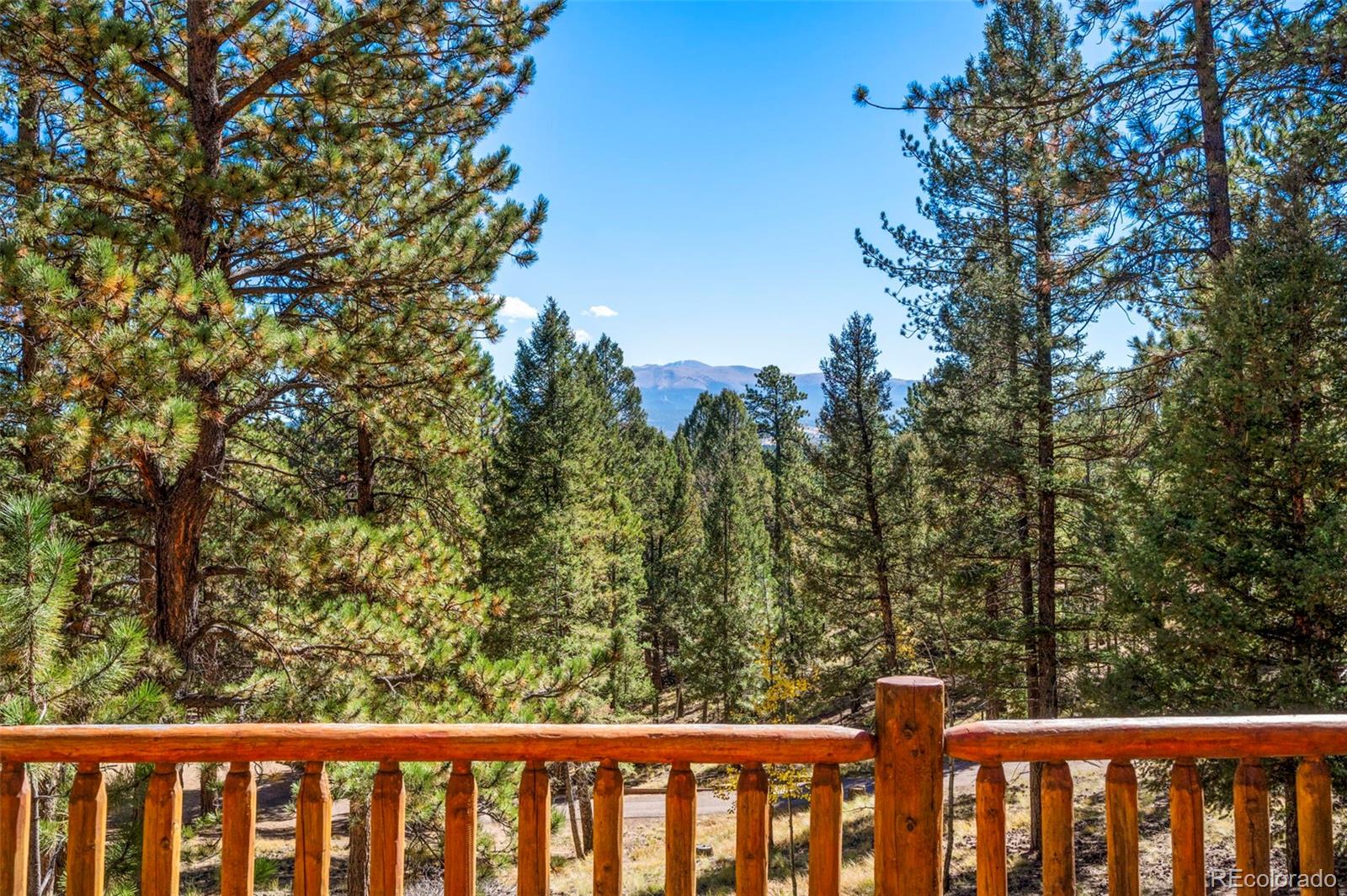 MLS Image #23 for 70  cheesman lake circle,divide, Colorado