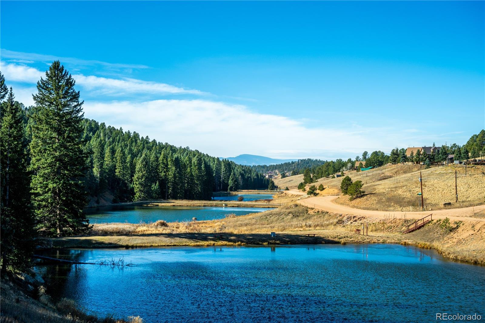 MLS Image #3 for 70  cheesman lake circle,divide, Colorado