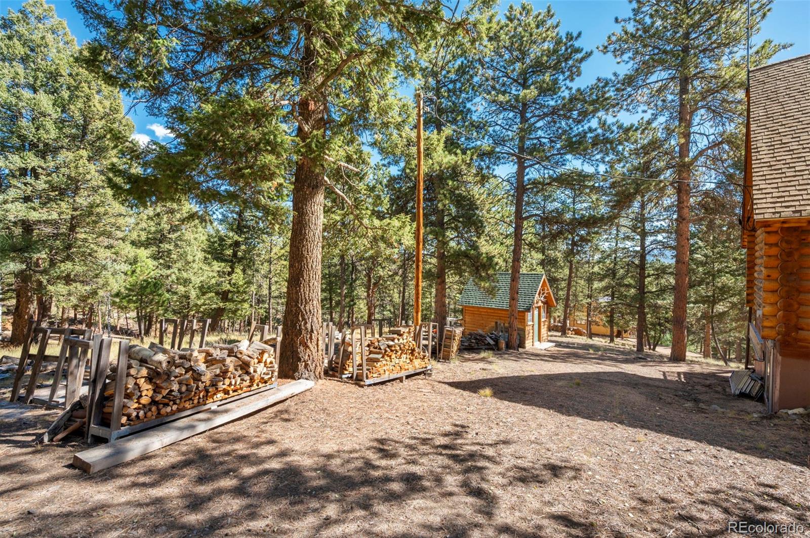 MLS Image #30 for 70  cheesman lake circle,divide, Colorado