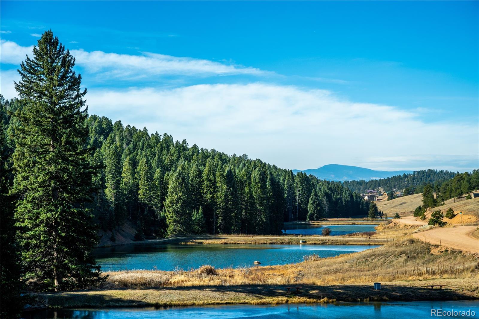 MLS Image #33 for 70  cheesman lake circle,divide, Colorado