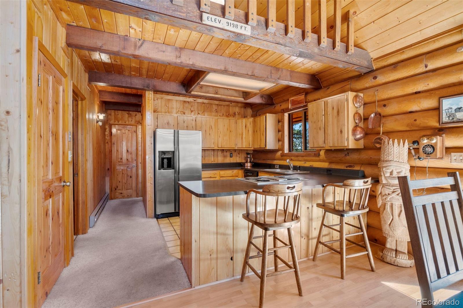MLS Image #9 for 70  cheesman lake circle,divide, Colorado