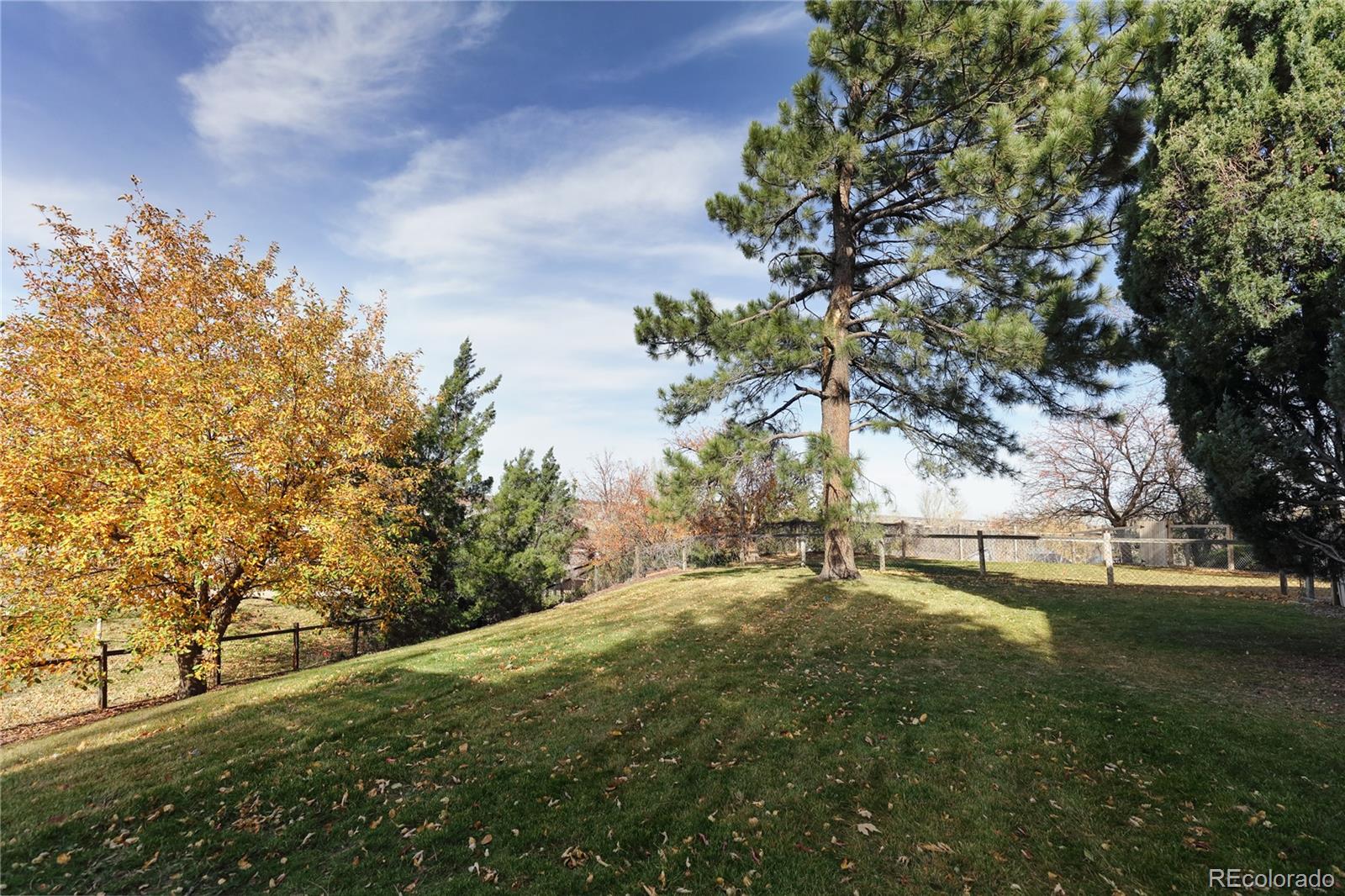 MLS Image #29 for 4651 w 109th place,westminster, Colorado