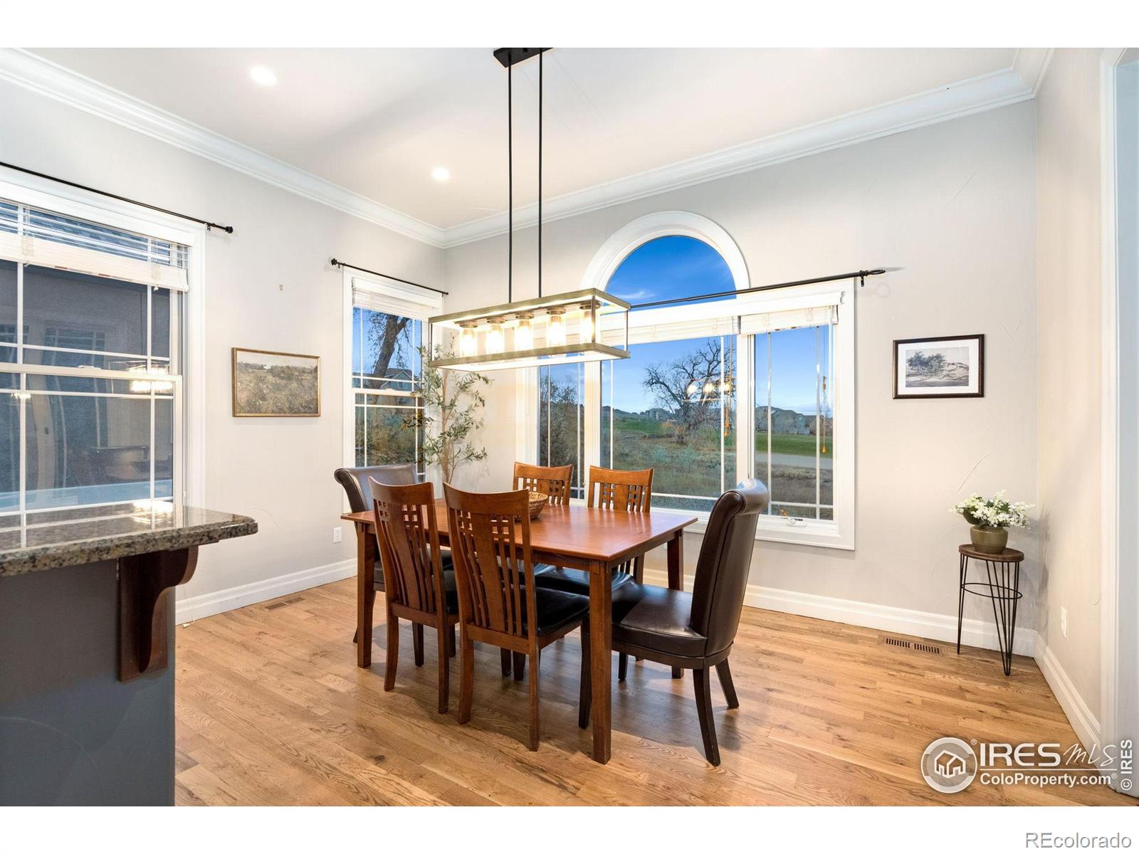MLS Image #10 for 2000  bayfront drive,windsor, Colorado