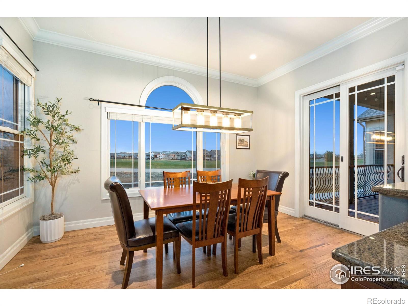 MLS Image #9 for 2000  bayfront drive,windsor, Colorado