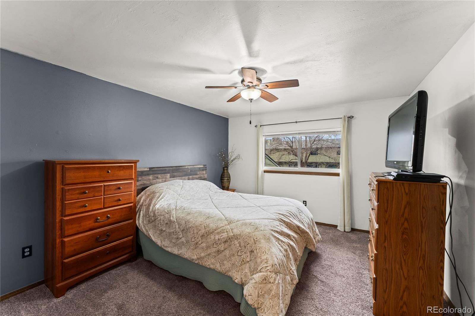 MLS Image #15 for 4763  barnes road,colorado springs, Colorado