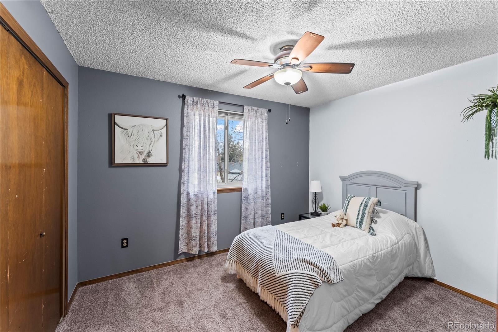 MLS Image #17 for 4763  barnes road,colorado springs, Colorado