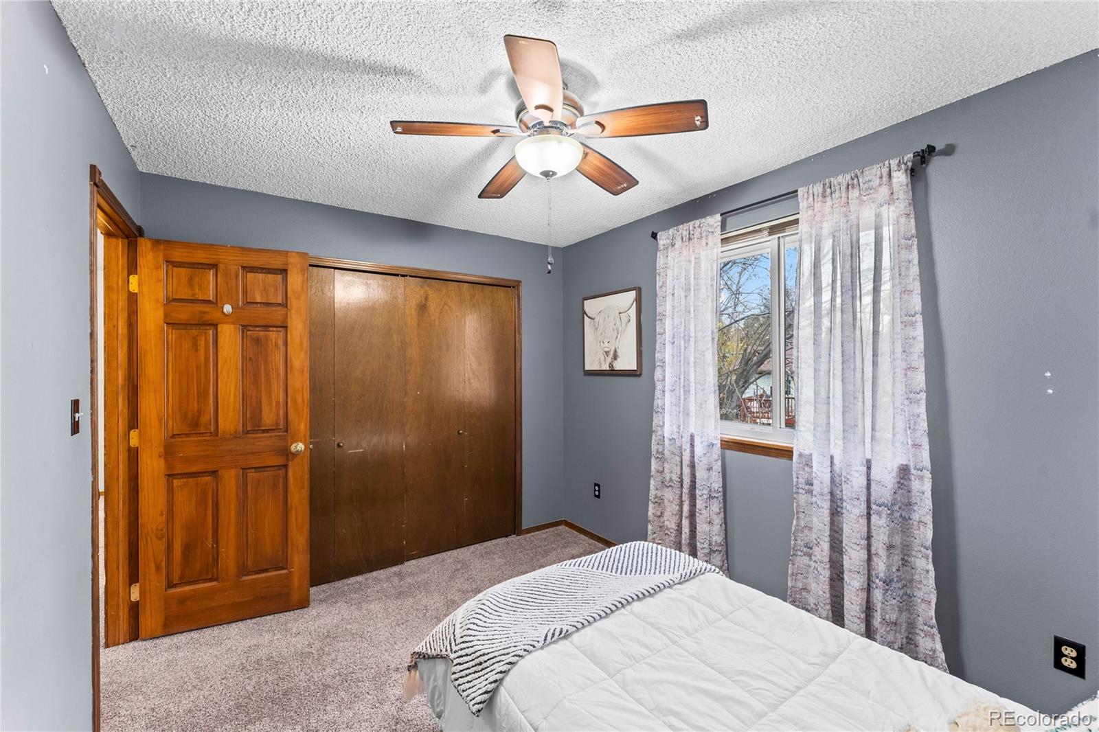 MLS Image #18 for 4763  barnes road,colorado springs, Colorado
