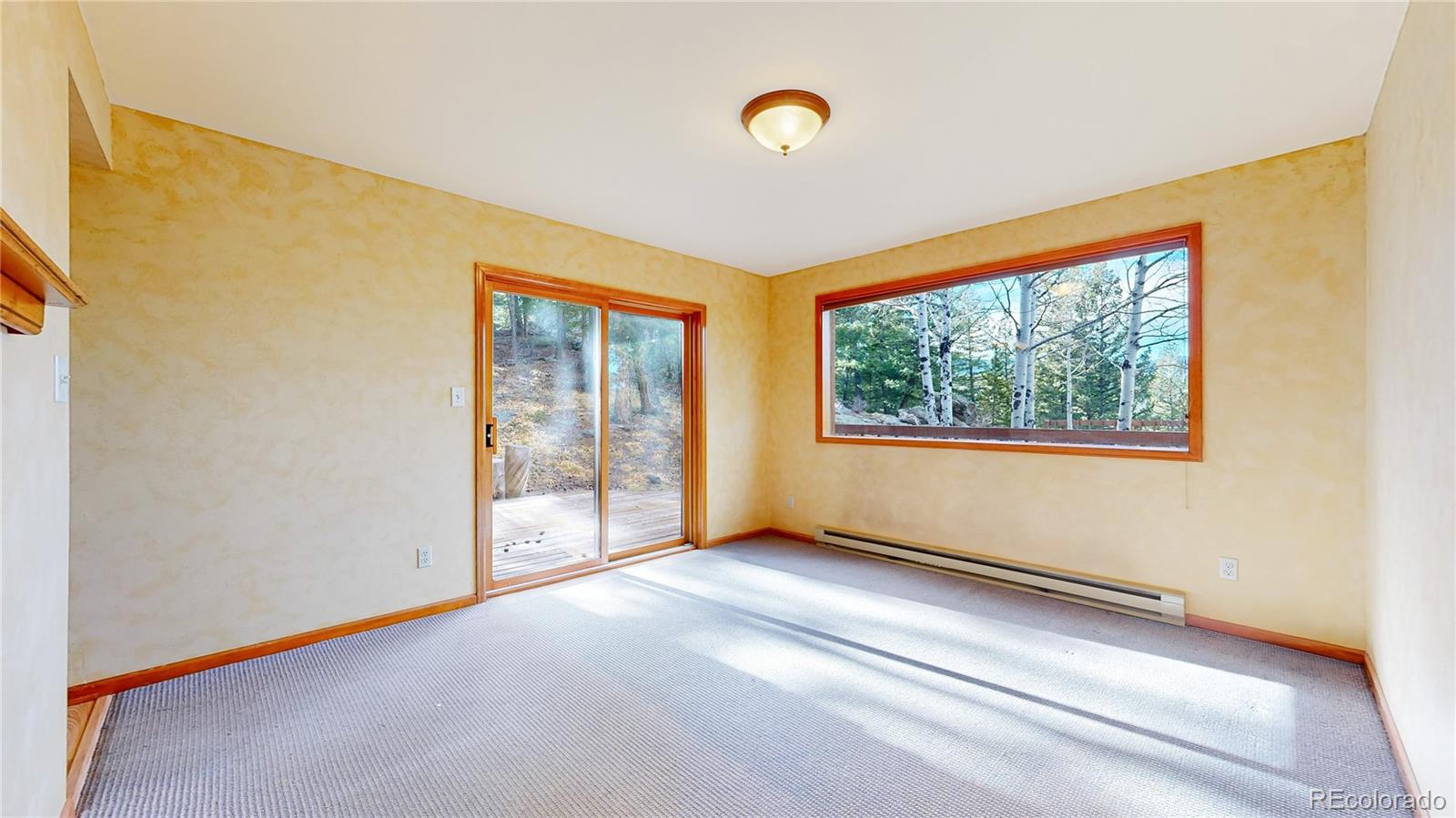 MLS Image #14 for 7330 s frog hollow lane,evergreen, Colorado