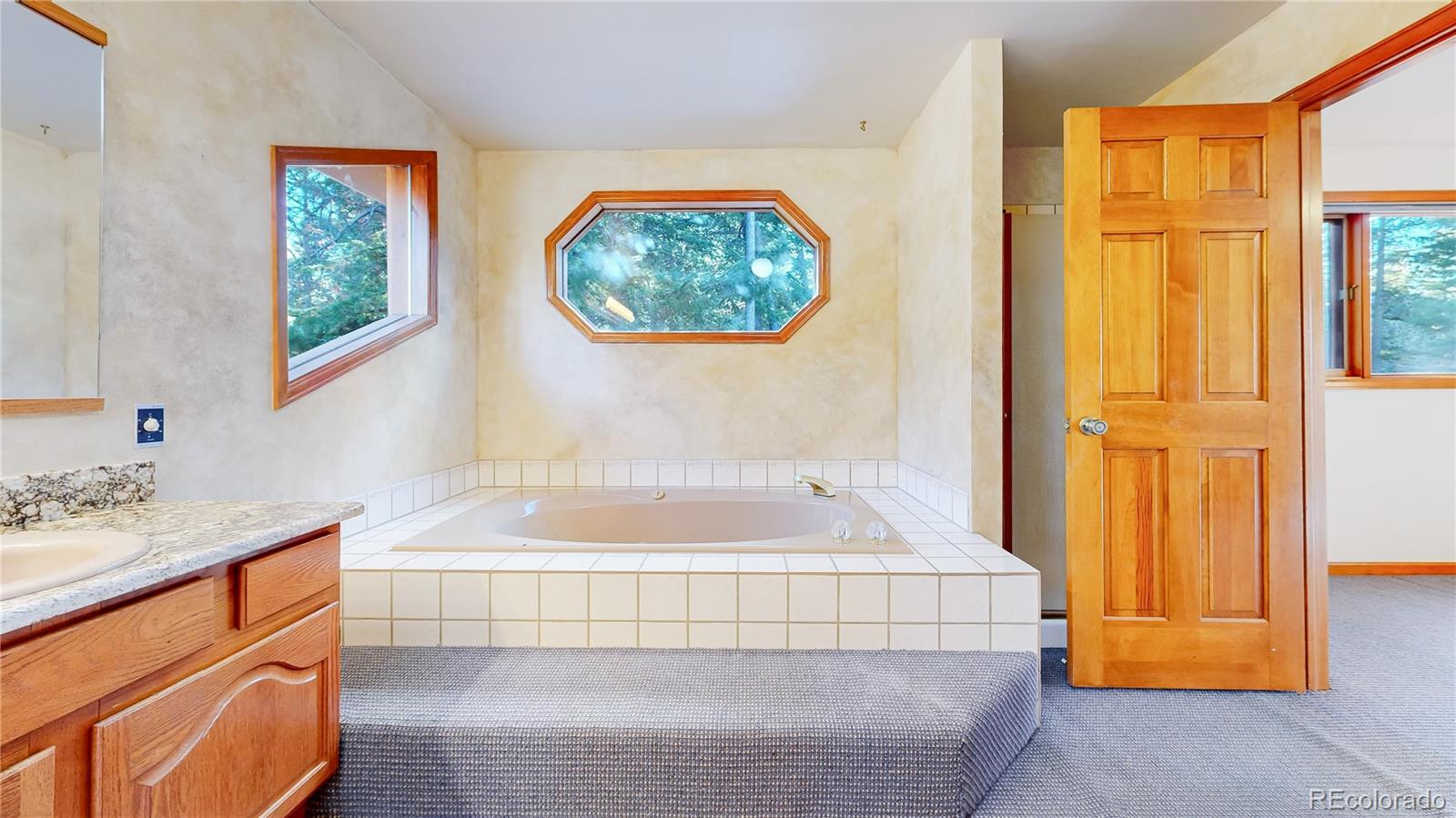 MLS Image #22 for 7330 s frog hollow lane,evergreen, Colorado