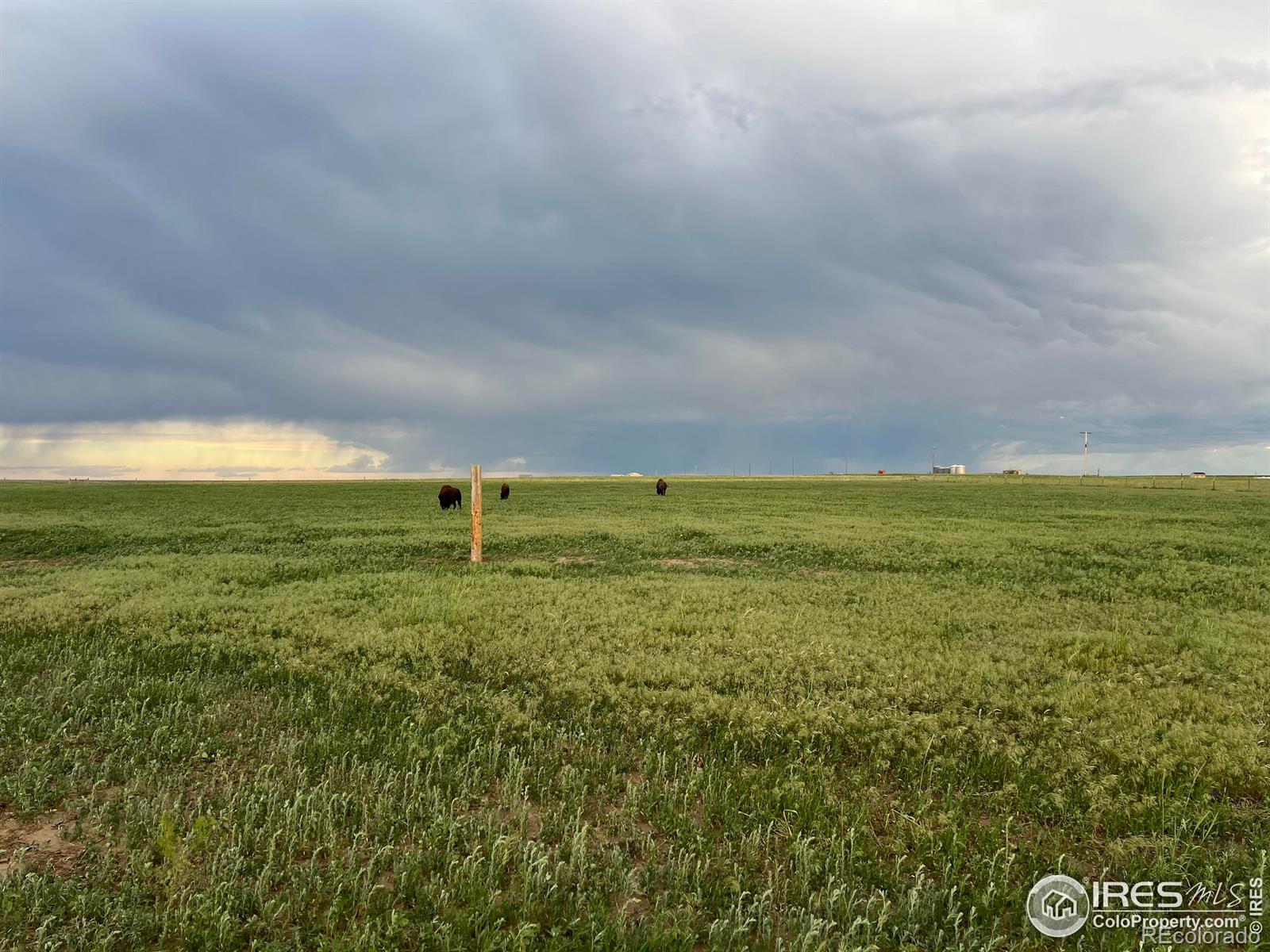 MLS Image #36 for 39306  county road 79 ,briggsdale, Colorado