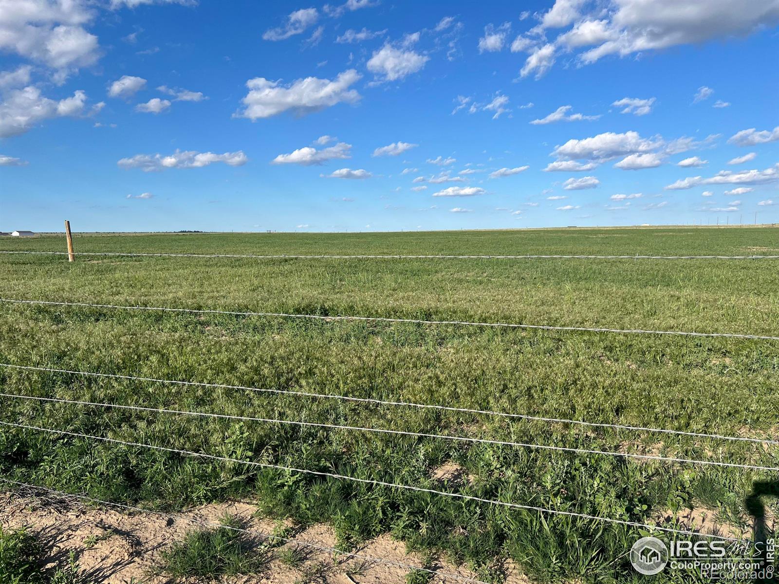 MLS Image #37 for 39306  county road 79 ,briggsdale, Colorado