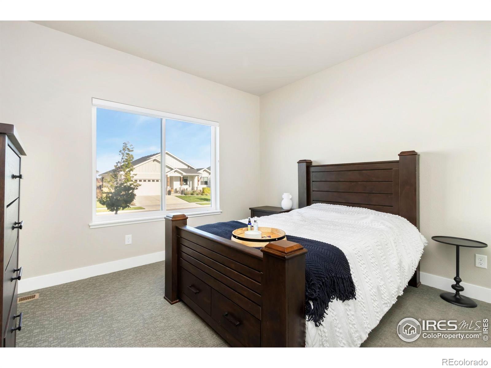 MLS Image #21 for 6709  stone point drive,timnath, Colorado